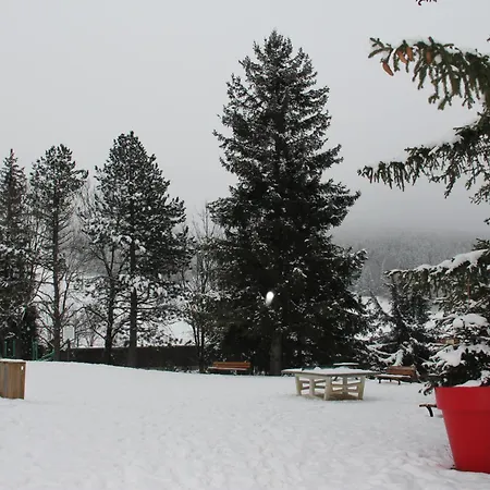 Lejlighed Au Pied Des Pistes Cote 2000 - Le Balcon De De Lans *
