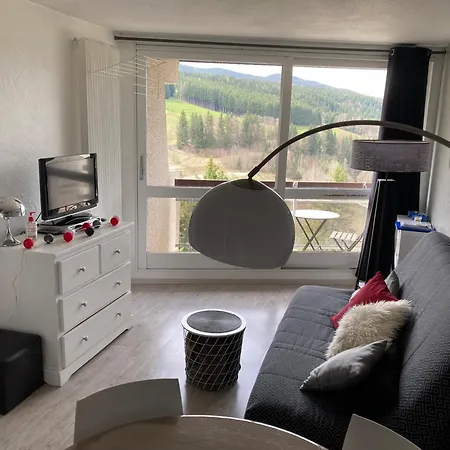 Au Pied Des Pistes Cote 2000 - Le Balcon De De Lans Lejlighed *