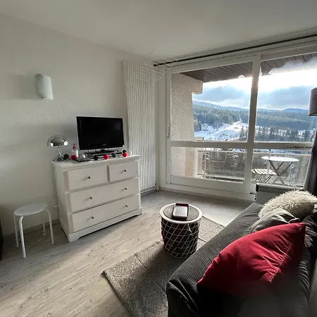 Au Pied Des Pistes Cote 2000 - Le Balcon De De Lans Lejlighed